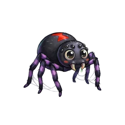 Spider card